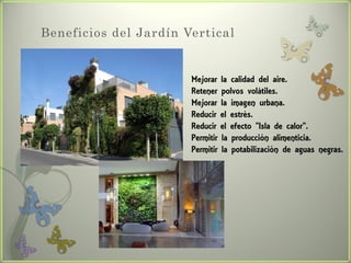 Beneficios del Jardín Vertical


                       Mejorar la calidad del aire.
                       Retener polvos volátiles.
                       Mejorar la imagen urbana.
                       Reducir el estrés.
                       Reducir el efecto "Isla de calor".
                       Permitir la producción alimenticia.
                       Permitir la potabilización de aguas negras.
 