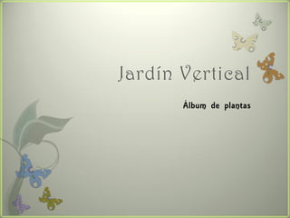 Jardín Vertical
       Álbum de plantas
 