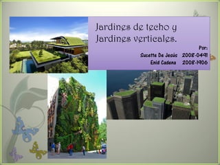 Jardines de techo y
Jardines verticales.
                                 Por:
          Sucette De Jesús 2008-0491
              Enid Cadena 2008-1906
 