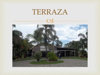 
TERRAZA
 