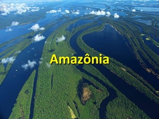 AmazôniaAmazônia
 