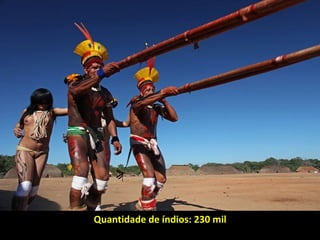 Quantidade de índios: 230 milQuantidade de índios: 230 mil
 