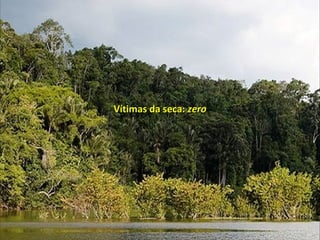 Vítimas da seca:Vítimas da seca: zerozero
 