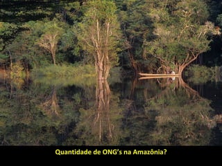 Quantidade de ONG’s na Amazônia?Quantidade de ONG’s na Amazônia?
 