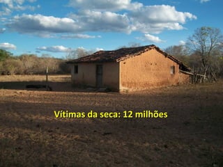 Vítimas da seca: 12 milhõesVítimas da seca: 12 milhões
 