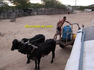 Morrendo de sedeMorrendo de sede
 