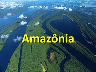 AmazôniaAmazônia
 