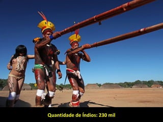 Quantidade de Índios: 230 milQuantidade de Índios: 230 mil
 