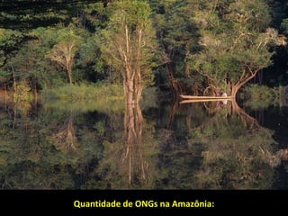 Quantidade de ONGs na Amazônia:Quantidade de ONGs na Amazônia:
 