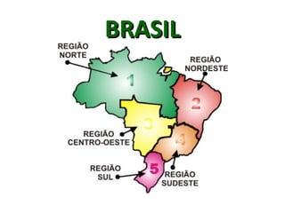 BRASILBRASIL
 
