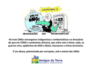 Há mais ONGs estrangeiras indigenistas e ambientalistas na Amazônia
do que em TODO o continente africano, que sofre com a fome, sede, as
guerras civis, epidemias de AIDS e Ebola, massacres e minas terrestres.
É um abuso, patrocinado por corruptos, sob o manto das ONGs
 