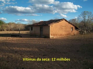Vítimas da seca: 12 milhõesVítimas da seca: 12 milhões
 