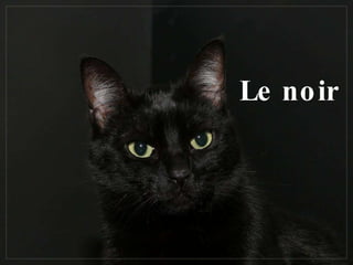 Le noir 