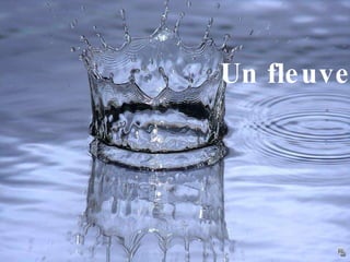 Un fleuve  