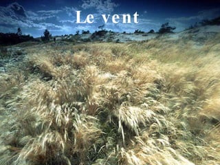 Le vent  
