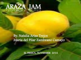 ARAZA JAM 
By: Natalia Arias Trejos 
María del Pilar Zambrano Camayo 
EL TREBOL, NOVEMBER 2014 
 