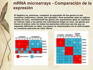 mRNA microarrays - Comparación de la expresión El objetivo es, entonces, comparar la expresión de los genes en dos muestras (enfermos y sanos, por ejemplo). Para presentar esto se utilizan mapas de color, normalmente los genes con expresiones altas se codifican en colores rojos y los genes con expresiones bajas en azul. Los genes que tienen el mismo color en todos los pacientes enfermos son los que se expresan diferente en ellos. Los genes no relacionados con la enfermedad no muestran patrones de color claros. 