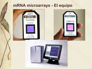 mRNA microarrays - El equipo 