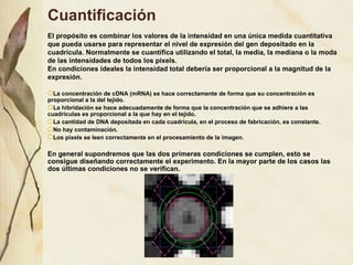 Cuantificaci ón El propósito es combinar los valores de la intensidad en una única medida cuantitativa que pueda usarse para representar el nivel de expresión del gen depositado en la cuadrícula. Normalmente se cuantifica utilizando el total, la media, la mediana o la moda de las intensidades de todos los pixels.  En condiciones ideales la intensidad total debería ser proporcional a la magnitud de la expresión. La concentración de cDNA (mRNA) se hace correctamente de forma que su concentración es proporcional a la del tejido. La hibridación se hace adecuadamente de forma que la concentración que se adhiere a las cuadrículas es proporcional a la que hay en el tejido. La cantidad de DNA depositada en cada cuadrícula, en el proceso de fabricación, es constante. No hay contaminación. Los pixels se leen correctamente en el procesamiento de la imagen. En general supondremos que las dos primeras condiciones se cumplen, esto se consigue diseñando correctamente el experimento. En la mayor parte de los casos las dos últimas condiciones no se verifican. 
