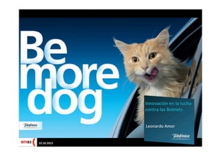 Be More Dog, Enise 2013