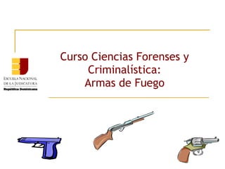 Curso Ciencias Forenses y
Criminalística:
Armas de Fuego

 