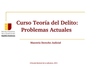 Curso Teoría del Delito: 
Problemas Actuales 
Maestría Derecho Judicial 
© Escuela Nacional de la Judicatura, 2014 
 