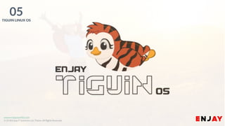 www.enjayworld.com
© 2018 Enjay IT Solutions Ltd. Theme. All Rights Reserved.
05TIGUIN LINUX OS
 