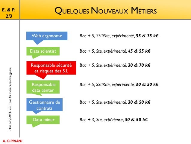Enjeux Perspectives Des Metiers Informatiques