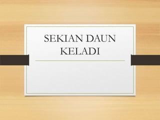 SEKIAN DAUN
  KELADI
 