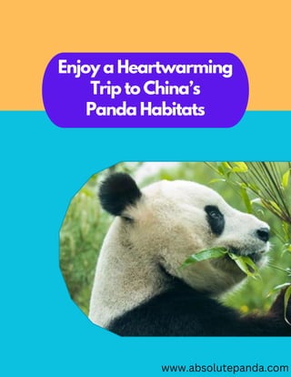 Enjoy a Heartwarming
Trip to China’s
Panda Habitats
www.absolutepanda.com
 