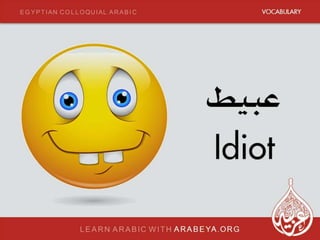 Enjoy and learn new daily Egyptian Arabic words from Arabeya