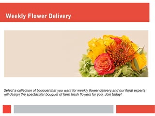 Weekly Flower Delivery
Select a collection of bouquet that you want for weekly flower delivery and our floral experts
will design the spectacular bouquet of farm fresh flowers for you. Join today!
 