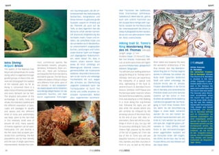 sportsport
Istra Diving:
Brijuni Brioni
The waters of the National Park
Brijuni are extraordinary for scuba
diving,which is organised through
guided groups of divers that can
view and photograph the seabed
of the national park. As far as
diving is concerned there is a
wide choice of themes and depths
and every demand can be met.
The physical articulation of the
archipelago, its islets, rocks and
shoals,the indented coastline and
the different exposition of bays,
capes and passages to squalls
and waves and the different
kinds of rocky and sedimentary
sea beds, point to the fact that
in this relatively small area of
around 40 km2, many species
of marine organism can be seen.
Particularly rich and diverse is
the fish stock that prospers pro-
tected from overfishing. The fish
populations are by their density
and the size of single specimens
representative. Besides the com-
infomust
Istrian frescoes:
St. Barnabas
Die istrischen Fresken:
Der Hl. Barnabas Vižinada
The Church of St. Barnabas
is situated in the town
center. Originally it was a
double-apsed church, how-
ever in the Baroque the
apses were pulled down and
the church nave was raised.
The frescoes were discov-
ered accidentally when
the church was used for
storing props while shoot-
ing the war film Kelley’s
Heroes with Clint Eastwood,
Telly Savalas and Donald
Sutherland. Die Kirche
des hl. Barnabas befindet
sich im Ortszentrum. Sie
bestand ursprünglich aus
einer Doppelapsis, jedoch
wurden die Apsiden in der
Barockzeit zerstört und das
Kirchenschiff erhöht. Die
Fresken wurden rein zufällig
entdeckt, als die Kirche
für den Kriegsfilm Kelley’s
Heroes mit Clint Eastwood,
Telly Savalas und Donald
Sutherland als Requisiten-
lager diente.
mon, commercial species like
two-banded breams, groupers,
dentexes, forkbeards, black um-
bers etc., there are numerous
and beautiful fish from the blenny
and labrid species.The fish fauna
makes the waters of Brijuni unique
and different from other parts of
the Adriatic. In den Gewässern
des Nationalparks Brioni bestehen
eine Menge Möglichkeiten für das
autonome Tauchen, und zwar
durch organisierte Führungen
von Tauchergruppen, die die Un-
terwasserwelt des Nationalparks
beobachten, fotografieren und
filmen können. Es gibt eine große
Auswahl, sowohl im Hinblick auf
die Thematik als auch auf die
Tiefe, so dass eigentlich fast alle
Wünsche erfüllt werden können.
Die physische Zergliederung des
Archipels: Inseln, Felsen und Un-
tiefen, die zerklüftete Küste und
die von Wellen durch Windeinflüs-
se unterschiedlich ausgespülten
Buchen, Landzungen und Furten,
sowie diverse Typen von felsigen
und abgelagerten Bodenschich-
ten, weist darauf hin, dass in
diesem relativ kleinen Raum
(etwa 40 km2) vielfältige am
Meeresgrund lebende Lebens-
gemeinschaften der Küstenzone
existieren.Besonders hervorzuhe-
ben ist der reiche und vielseitige
Fischbestand, der sich, wegen
des Schutzes vor Überfischung
ungestört entwickeln kann. Die
Fischpopulation ist durch ihre
Dichte und Größe einzelner Ex-
emplare repräsentativ. Neben
allen sogenannten kommerzi-
ellen Fischarten wie Geißbrasse,
Roter Drachenkopf, Zahnbrasse,
Gabeldorsch, Meerrabe etc. gibt es
auch sehr schöne Fischchen aus
der Gruppe Barschartige oder Lipp-
fische. Gerade die Fischfauna lässt
die Unterwasserwelt der Brioni zu
etwasAußergewöhnlichem werden,
da sie sich von allen anderen Teilen
der Adria unterscheidet.
Hiking trail St. Tomo’s
Ring Wanderweg Ring
des Hl. Thomas Vižinada
Length Länge: 5.7 km
Duration Dauer: 2.5 hours/2,5 Stun-
den Trail Strecke: moderately diffi-
cult, at some parts there are higher
ascents/mittelschwer, gelegentlich
stärkere Steigungen
You will start your walking adventure
along the Ring of St. Thomas trail in
Vižinada. Here you can experience
the tranquility of a typical rural
area, sightseeing of the local St.
Jeromil Church, St. Barnaba Church
frescos, Venetian Tariff Plaque and
the Baroque water reservoir, where
the world famous ballerina, Carlotta
Grisi, was playing as a child.Walking
in a circle along this ring-formed
trail, following the signs, you will
also enter the woods where you
will certainly be intrigued by the
amazing colours of the Istrian flora.
At the end of your ride, after 4.7
kilometers, there will still be a chal-
lenge in front of you, but you will
for sure enoy climbing St.Tomo,299
meters high, popular by the name
of the Hill of Quality Air. From the
top of the St. Tomo you will see
beautiful horizons in all directions,
hills, hamlets and little churches in
front of you, as well as the Mirna
River Valley and towards the west
the wonderful endlessness of the
blue Adriatic Sea. Das Wanderer-
lebnis Ring des Hl. Thomas beginnt
bereits in Vižinada. Sie erleben die
Ruhe einer typischen ländlichen
Stadt und sehen unterwegs die
örtliche Kirche des Hl. Jerome,
Fresken (Wandbilder) in der Kirche
des Hl. Barnaba, eine venezianische
Preisliste sowie auch eine barocke
Zisterne auf der schon in ihrer
Kindheit die weltberühmte Ballerina
Carlotta Grisi gespielt hat.Der Rund-
gang in Form eines Kreises führt
Sie, wenn Sie der Beschilderung
folgen in einen Wald. Sicherlich
werden Sie von den Farben der
istrischen Fauna fasziniert sein.Am
Ende (4,7 km) werden Sie stolz auf
sich sein, der „Hügel der guten Luft“
namens Hl. Tomo (299m), bietet
ihnen in alle Himmelsrichtungen
einen sagenhaften Ausblick auf
die Horizonte hinter den Hügeln,
die Dörfer, die Kirchen, das Tal des
Flusses Mirna und nach Westen auf
das blaue Meer.
26 27
 