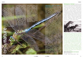 Dinosaurus Histriae Rebbachisauridaei
Titanosauriformes,sauropodi ili popularnije dinosauri
živjeli su na Zemlji prije oko 200 milijuna godina.
U vitrinama Muzeja dinosaura u Multimedijskom
centru Ulika kosti su tih ogromnih životinja stare
upravo toliko - oko 100 do 200 milijuna godina.
Pronađene su, odnosno izronjene s dna mora u
uvali Kolone 1992. godine, očišćene su i preparirane
u Paleontološkom muzeju u Monfalconeu. Koliko
je poznato, nalazište u Balama jedino je koje oka-
menjene ostatke dinosaura čuva pod morem pa
su Bale i uvrštene u Svjetski popis paleontoloških
nalazišta. Zastanite u Balama, dotaknite stope
dinosaura i razgledajte ostatke nekih čudovišnih
stvorenja koja su nekad vladala svijetom.
Rebbachisauridaee Titanosauriformes, sauropodi,
o popolarmente dinosauri, vissero sulla terra circa
200 milioni di anni fa. Nelle vetrine del CMM Ulika,
nel Museo dei dinosauri le ossa di questi enormi
animali hanno invero un’età compresa tra i 100 e i
200 milioni di anni. Sono state ritrovate, o meglio,
prelevate dal fondale marino della baia di Colone
nel 1992, pulite e debitamente preparate dal Mu-
seo paleontologico di Monfalcone. Per quanto a
noi noto, il nostro sito è l’unico nel quale i resti
di dinosauro si conservano pietrificati in mare,
aspetto questo che ha fatto guadagnare a Valle un
posto nell’Elenco mondiale dei siti paleontologici.
Fermatevi un attimo e toccate con mano le impronte
di dinosauro, ammirate i resti di queste creature
“mostruose” che un tempo furono i dominatori di
questo nostro pianeta.
Muzej dinosaura/Museo dei dinosauri
MMC Ulika, Bale-Valle
09:00 - 20:00, ned/dom 09:00 - 13:00
naturenature
enjoynatureValbandon na spoju
izvora i mora Staza
dobrih vibracija tematska
je staza koja objedinjuje
mjesta Fažane i Valbando-
na, nudi odmor, opuštanje
i poseban doživljaj prirode.
Posjetom Valbandonu i ta-
mošnjoj lučici, šetnjom ‘pre-
ko mosta’, otkrit ćete pravu
oazu primorskog ugođaja,
jedinstveni prostor doživljaja
mora podalje od užurbanije
vreve. Na tom kontaktu sla-
ne i slatke vode formira se
nekoliko staništa u kojima
nalazimo veliki broj biljnih
i životinjskih vrsta. U tom
malom zaljevu nekoć su se
intenzivno uzgajale školjke,
a pretpostavlja se da se u
antici ovdje odvijala pro-
izvodnja purpura. Biljna i
životinjska bića nastanjena
na ovom području rijetka
su i ugrožena te ih je po-
trebno u najvećoj mogućoj
mjeri očuvati pa i povećati
njihovo prirodno područje
rasprostranjenosti. Nad vo-
dom ćemo vidjeti kako lete
vretenca, a u proljeće sresti
poneku žabu i bjeloušku.
Od ptica često vidimo divlje
patke, galebove, gnjurce,
crnu lisku, kokošicu. Se-
zonski dolaze mala bijela
čaplja i siva čaplja te druge
ptice močvarice.Vodomar s
grana budno osmatra ribe
u vodi, a zbog mnoštva
kukaca u večernjim sati-
ma redovito vidimo šišmiše
u lovu. Ovdje, na spoju
izvora i mora, kao da je
sve stvoreno za šetnju i
relaksaciju. Predahnite na
autorskim klupama izrađe-
nima od crnike i opustite se
uz edukativno-informativne
ploče na kojima pritiskom
na dugme možete uživati u
glasanju ptica, a možda ih i
nakratko vidjeti u njihovom
prirodnom staništu.
Valbandon dove la fonte si
unisce al mare Il sentiero delle buone
vibrazioni è una passeggiata tematica che
unisce le località di Fasana e Valbandon,
offre riposo, relax e un’esperienza parti-
colare di natura. Se visitate Valbandon e
il suo porticciolo, dopo aver attraversato
il ‘ponte’ scoprirete una vera oasi con
un’atmosfera costiera, dove godersi il mare
lontano dalla folla. Dal lato biologico questo
particolare ecosistema, caratterizzato da
foci di corsi d’acqua permanenti o tempo-
ranei che fluiscono nel mare, dà origine a
dei punti molto produttivi; qui l’unione fra
l’acqua dolce e quella salata, favorisce la
nascita di alcuni biotopi nei quali troviamo
molte specie animali e vegetali. In questo
piccolo golfo una volta si allevavano con-
chiglie e si suppone che nell’antichità qui
ci fosse stato un allevamento di molluschi
del genere purpura. Le specie animali e
vegetali presenti in quest’area sono rare
e a rischio, ed è necessario preservarle al
massimo o aumentare la loro naturale area
di diffusione. Sull’acqua vedremo volare gli
odonati, mentre in primavera incontreremo
qualche rana o natrice. Fra gli uccelli i più
comuni sono l’anatra selvatica, i gabbiani,
i tuffetti, la folaga e il porciglione. Durante
la stagione qui migrano la garzetta, l’airone
cenerino, e altri uccelli di palude. Dai rami,
il martin pescatore osserva attentamente i
pesci nell’acqua. Nelle ore serali si vedono
sempre i pipistrelli a caccia dei numerosi
insetti qui presenti nell’aria. In questo
punto, dove la fonte si unisce al mare,
tutto sembra essere fatto apposta per pas-
seggiare e rilassarsi. Riposatevi un attimo
sulle panchine d’autore realizzate in legno
di leccio e rilassatevi leggendo le tabelle
educativo-informative dove premendo un
pulsante potete ascoltare il canto degli
uccelli e forse anche intravvederli per un
istante nel loro habitat naturale.
28 29
 