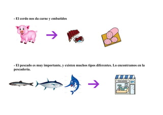 - El cerdo nos da carne y embutidos
- El pescado es muy importante, y existen muchos tipos diferentes. Lo encontramos en la
pescadería.