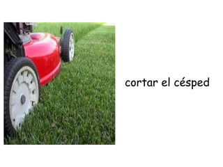 cortar el césped
 