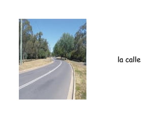 la calle
 