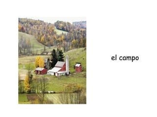 el campo
 