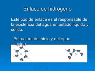 Enlace de hidrógeno Este tipo de enlace es el responsable de la existencia del agua en estado líquido y sólido.   Estructura del hielo y del agua líquida 