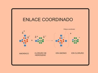 ENLACE COORDINADO
Enlace coordinado
N
δ
-
H
H
H
δ
+
Cl
δ -
H
δ+
+ NH
H
H
H Cl
+
-
AMONÍACO CLORURO DE
HIDRÓGENO
ION AMONIO ION CLORURO
 