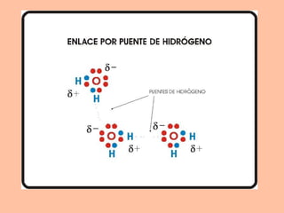 formación de enlaces quimicos