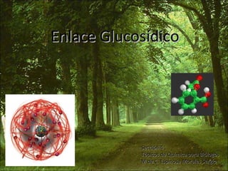 Enlace Glucosídico Sección 4 Tópicos de Química para Biólogos M de C. Espinosa Morales Sergio 
