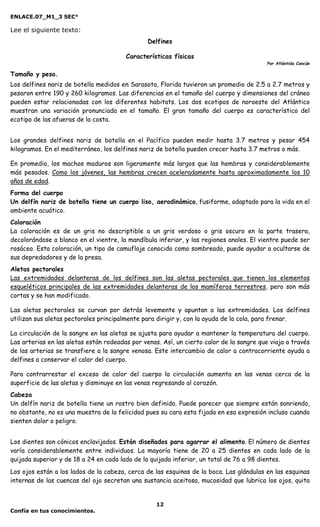 ENLACE.07_M1_3 SEC°

Lee el siguiente texto:
                                                Delfines

                                        Características físicas
                                                                                          Por Atlántida Cancún

Tamaño y peso.
Los delfines nariz de botella medidos en Sarasota, Florida tuvieron un promedio de 2.5 a 2.7 metros y
pesaron entre 190 y 260 kilogramos. Las diferencias en el tamaño del cuerpo y dimensiones del cráneo
pueden estar relacionadas con los diferentes habitats. Los dos ecotipos de noroeste del Atlántico
muestran una variación pronunciada en el tamaño. El gran tamaño del cuerpo es característico del
ecotipo de las afueras de la costa.


Los grandes delfines nariz de botella en el Pacífico pueden medir hasta 3.7 metros y pesar 454
kilogramos. En el mediterráneo, los delfines nariz de botella pueden crecer hasta 3.7 metros o más.

En promedio, los machos maduros son ligeramente más largos que las hembras y considerablemente
más pesados. Como los jóvenes, las hembras crecen aceleradamente hasta aproximadamente los 10
años de edad.
Forma del cuerpo
Un delfín nariz de botella tiene un cuerpo liso, aerodinámico, fusiforme, adaptado para la vida en el
ambiente acuático.
Coloración
La coloración es de un gris no descriptible a un gris verdoso o gris oscuro en la parte trasera,
decolorándose a blanco en el vientre, la mandíbula inferior, y las regiones anales. El vientre puede ser
rosáceo. Esta coloración, un tipo de camuflaje conocido como sombreado, puede ayudar a ocultarse de
sus depredadores y de la presa.
Aletas pectorales
Las extremidades delanteras de los delfines son las aletas pectorales que tienen los elementos
esqueléticos principales de las extremidades delanteras de los mamíferos terrestres, pero son más
cortas y se han modificado.

Las aletas pectorales se curvan por detrás levemente y apuntan a las extremidades. Los delfines
utilizan sus aletas pectorales principalmente para dirigir y, con la ayuda de la cola, para frenar.

La circulación de la sangre en las aletas se ajusta para ayudar a mantener la temperatura del cuerpo.
Las arterias en las aletas están rodeadas por venas. Así, un cierto calor de la sangre que viaja a través
de las arterias se transfiere a la sangre venosa. Este intercambio de calor a contracorriente ayuda a
delfines a conservar el calor del cuerpo.

Para contrarrestar el exceso de calor del cuerpo la circulación aumenta en las venas cerca de la
superficie de las aletas y disminuye en las venas regresando al corazón.
Cabeza
Un delfín nariz de botella tiene un rostro bien definido. Puede parecer que siempre están sonriendo,
no obstante, no es una muestra de la felicidad pues su cara esta fijada en esa expresión incluso cuando
sienten dolor o peligro.


Los dientes son cónicos enclavijados. Están diseñados para agarrar el alimento. El número de dientes
varía considerablemente entre individuos. La mayoría tiene de 20 a 25 dientes en cada lado de la
quijada superior y de 18 a 24 en cada lado de la quijada inferior, un total de 76 a 98 dientes.
Los ojos están a los lados de la cabeza, cerca de las esquinas de la boca. Las glándulas en las esquinas
internas de las cuencas del ojo secretan una sustancia aceitosa, mucosidad que lubrica los ojos, quita


                                                   12
Confía en tus conocimientos.
 