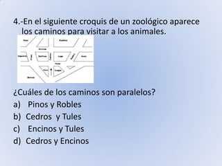 4.-En el siguiente croquis de un zoológico aparece los caminos para visitar a los animales.¿Cuáles de los caminos son paralelos? Pinos y RoblesCedros  y Tules Encinos y TulesCedros y Encinos