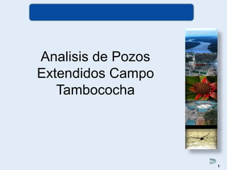 Analisis de Pozos
Extendidos Campo
Tambococha
1
 