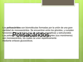 Polisacáridos.
Los polisacáridos son biomoléculas formadas por la unión de una gran
cantidad de monosacáridos. Se encuentran entre los glúcidos, y cumplen
funciones diversas, sobre todo de reservas energéticas y estructurales
Los polisacáridos son polímeros cuyos constituyentes (sus monómeros)
son monosacáridos, los cuales se unen repetitivamente
mediante enlaces glucosídicos.
 