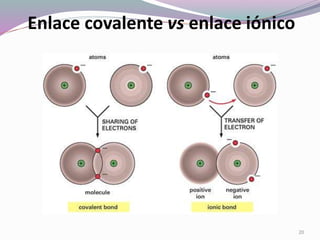 Enlace covalente vs enlace iónico
20
 