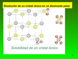 Disolución de un cristal iónico en un disolvente polar   Solubilidad de un cristal iónico 