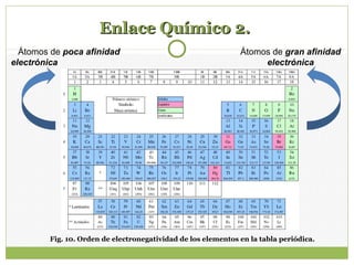 Enlace Químico 2.Enlace Químico 2.
Átomos de poca afinidad
electrónica
Átomos de gran afinidad
electrónica
Fig. 10. Orden de electronegatividad de los elementos en la tabla periódica.
 