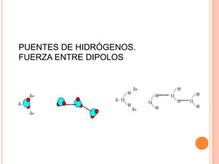 PUENTES DE HIDRÓGENOS.FUERZA ENTRE DIPOLOS